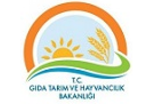 İran'a Yaş Meyve Sebze İhracatı FİRMA LİSTESİ İran'a Yaş Meyve Sebze İhracatı FİRMA LİSTESİ